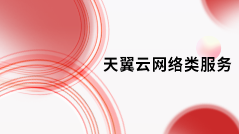 天翼云网络类服务 
