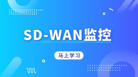 SD-WAN监控 