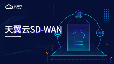 天翼云SD-WAN 