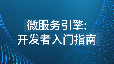 微服务引擎：开发者入门指南 