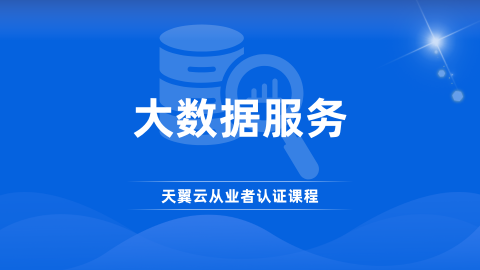 大数据服务 